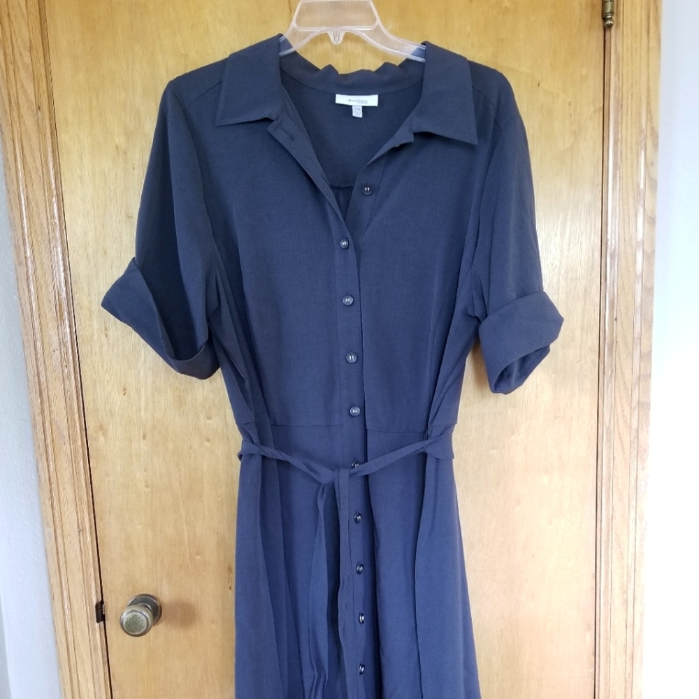 Dressbarn dress 20W